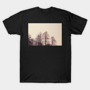 Winter Branches T-Shirt